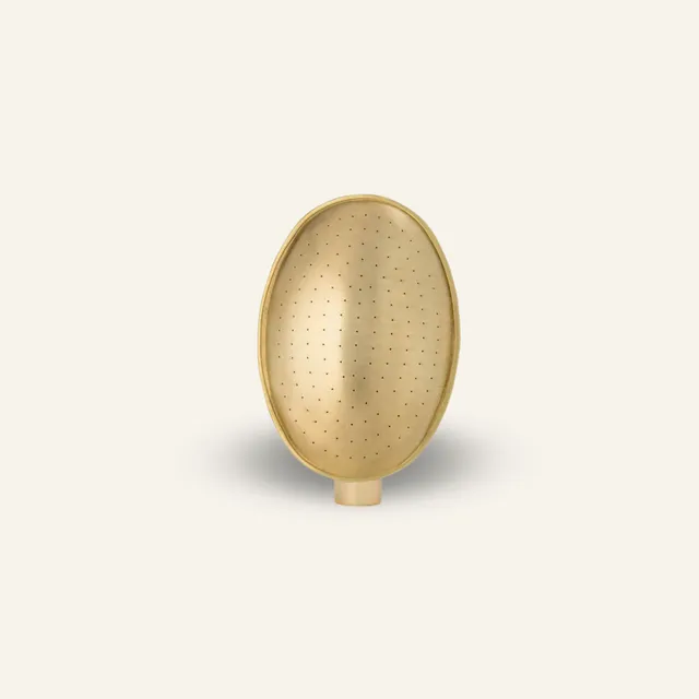 haws-brass-bedding-rose-pomme-d-arrosoir-laiton-ovale-jet-fin image 1