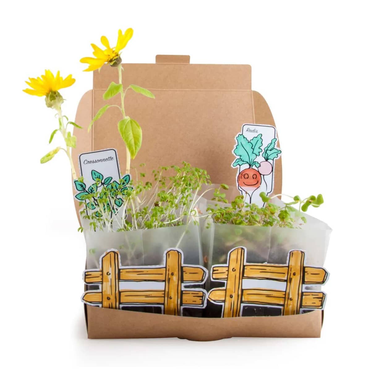 radis-et-capucine-mini-potager-kit-planter-4-vari-t-s image 2