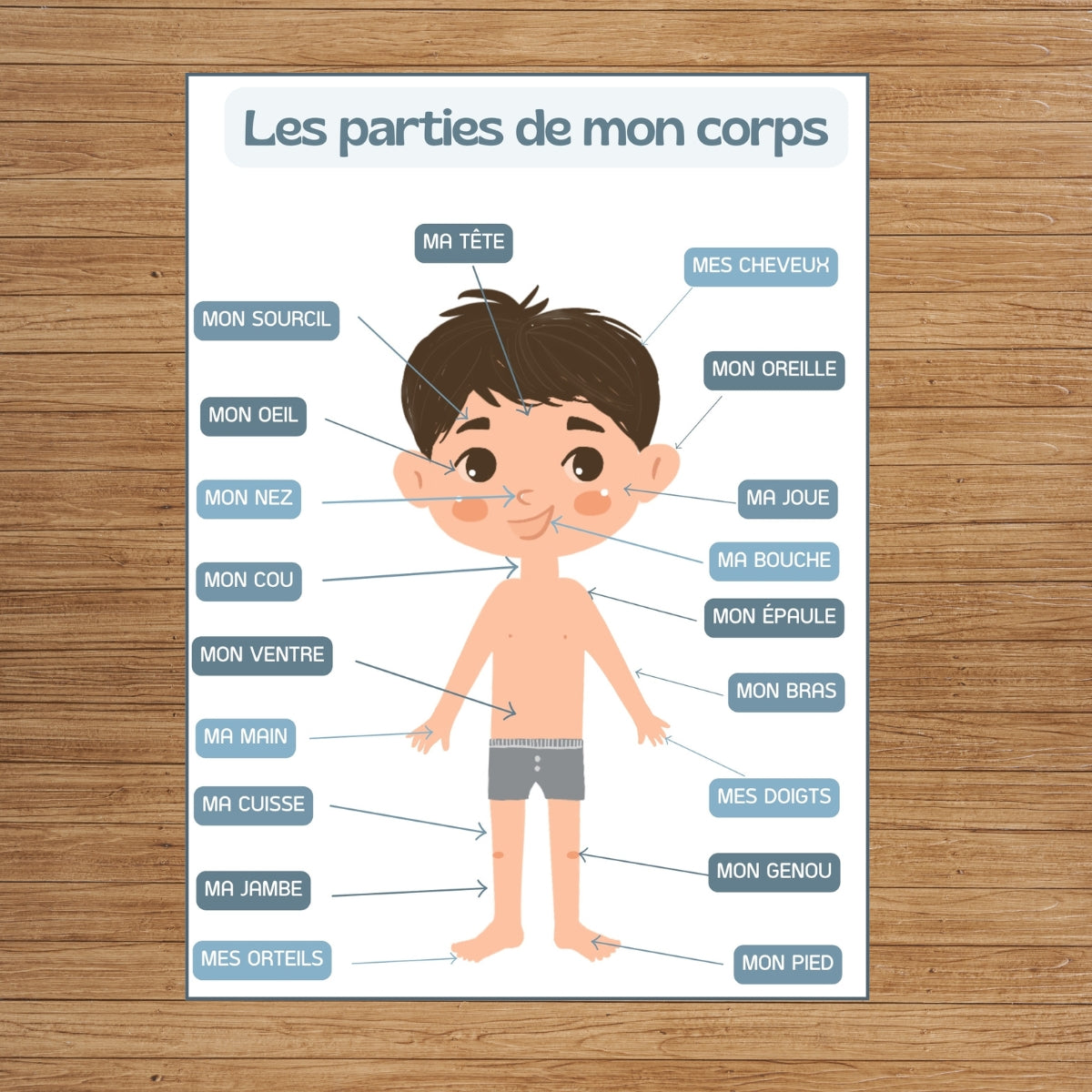 toasty-tableau-j-apprends-corps-gar-on-activit-ducative image 2