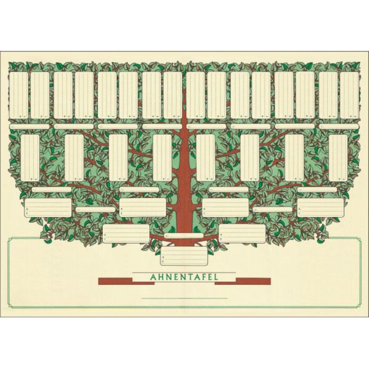 arbre-g-n-alogique-coffret-papier-a3-5-g-n-rations image 1