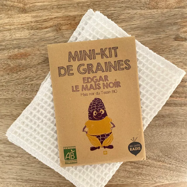 les-petits-radis-mini-kit-graines-edgar-ma-s-noir-12-graines image 1