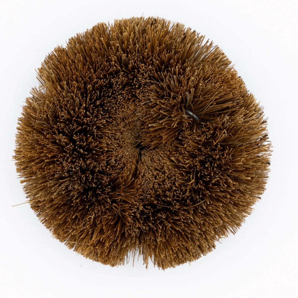 ecodis-grattoir-vaisselle-coco-fibres-naturelles-10-cm image 1
