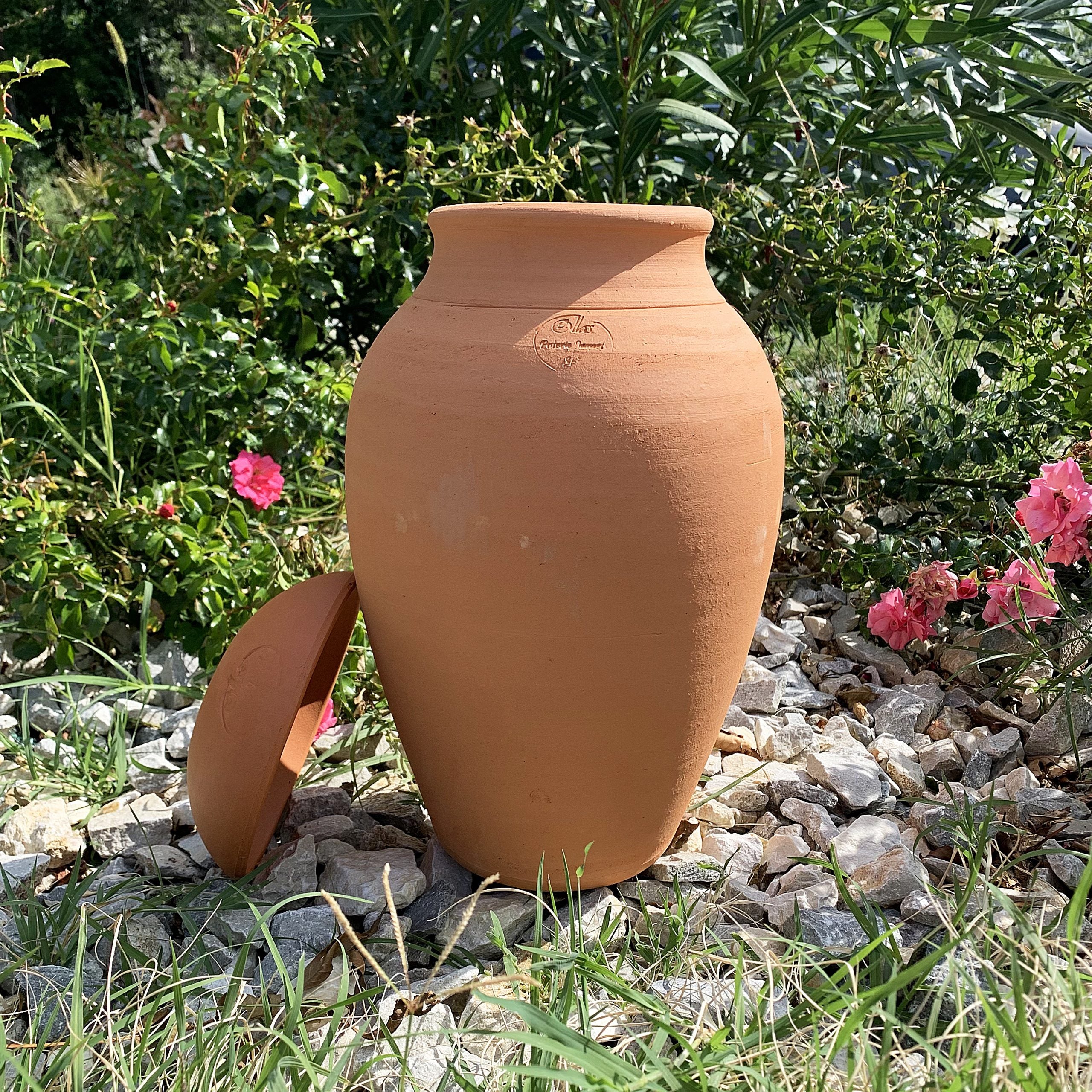 jamet-ollas-origin-6-l-olla-irrigation-pleine-terre image 2