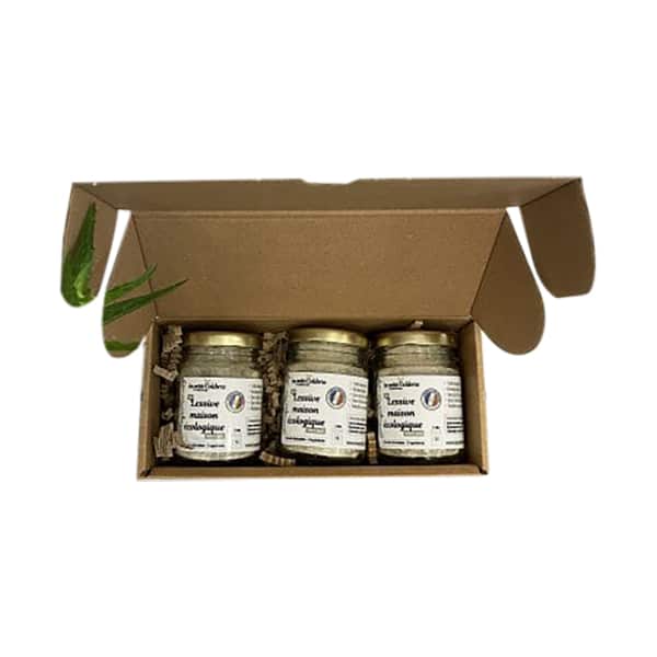 lessive-maison-cologique-instantan-e-pack-3-recharges-sans-parfum image 2
