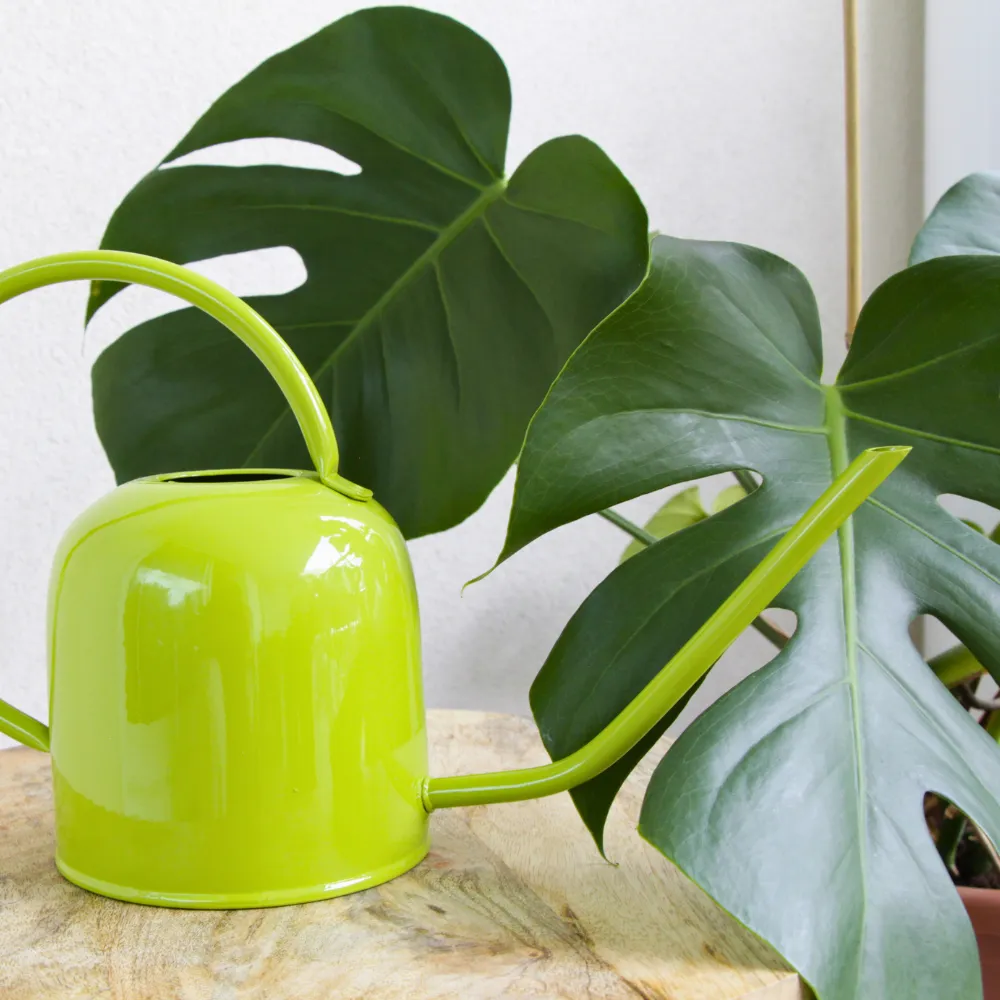 guillouard-luciole-arrosoir-acier-vert-1-5l-goulot-fin image 4