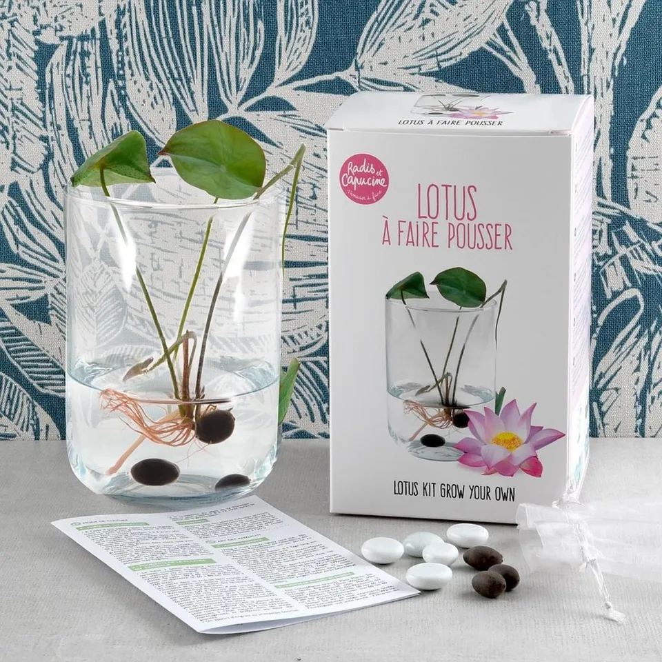 mes-courses-en-vrac-kits-planter-lotus-kit-jardin-vase-verre image 1