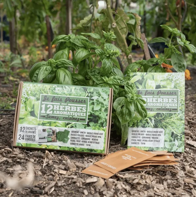 growing-paper-12-herbes-coffret-graines-aromatiques-12-sachets image 1