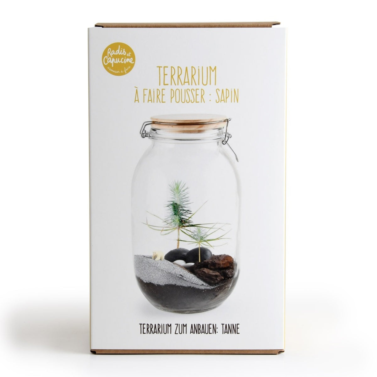 mes-courses-en-vrac-terrarium-v-g-tal-sapin-de-no-l-faire image 2