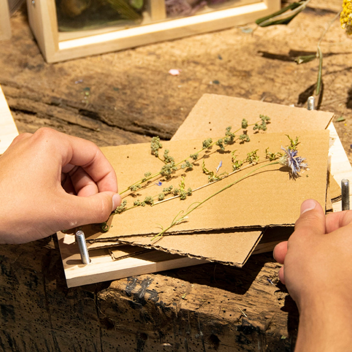 esschert-design-presse-fleurs-et-herbes-presse-fleurs-bois image 1