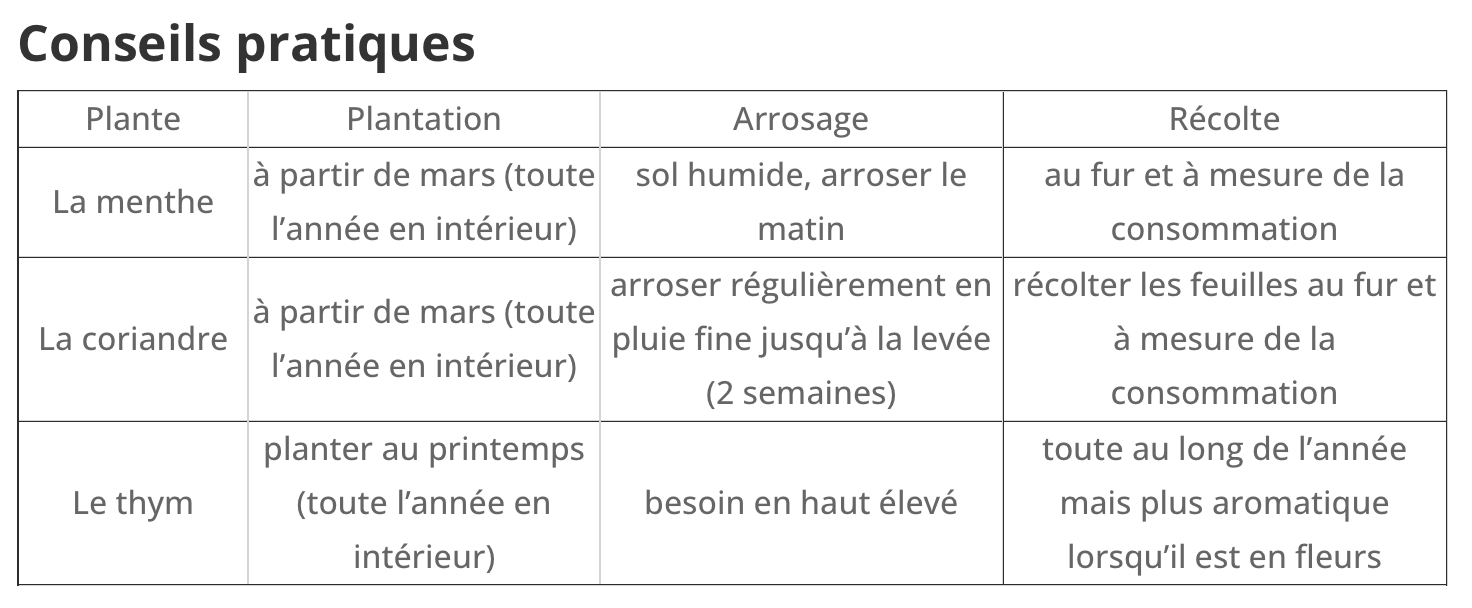 cultivea-kit-herbes-aromatiques-bio-menthe-coriandre-thym image 5