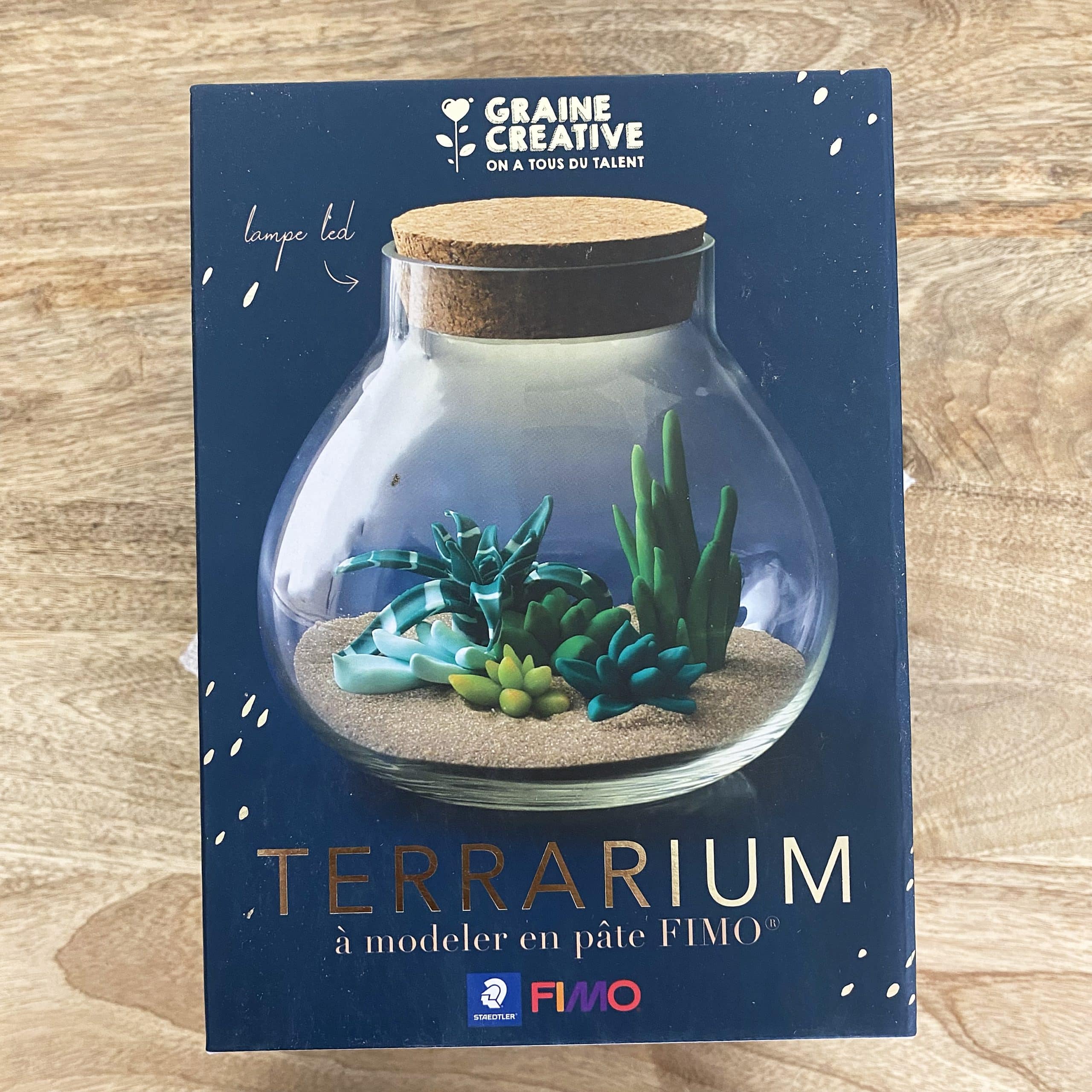 mes-courses-en-vrac-terrarium-fimo-faire-soi-m-me-verre-led image 4