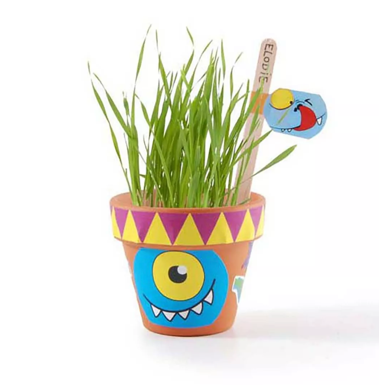 radis-et-capucine-coffret-anniversaire-10-pots-monstres-herbe image 5