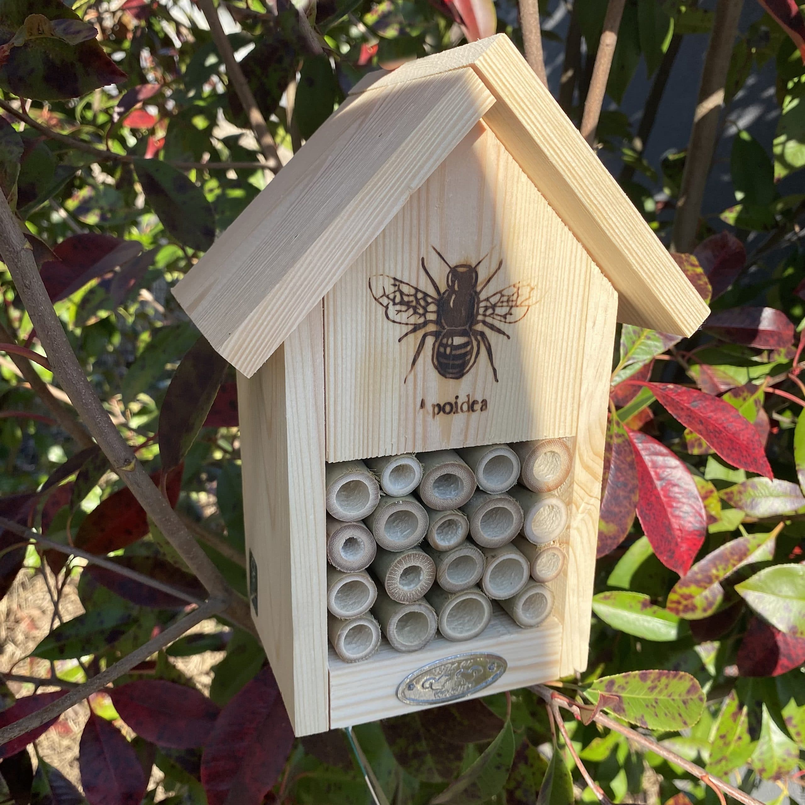 esschert-design-abri-abeilles-silhouette-bois-bambou image 3
