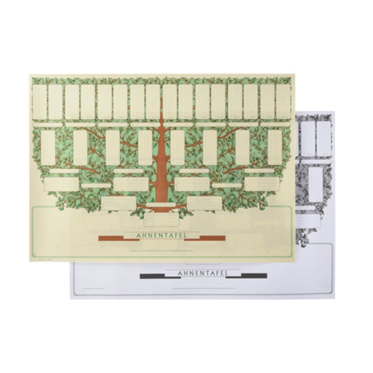 arbre-g-n-alogique-coffret-papier-a3-5-g-n-rations image 3