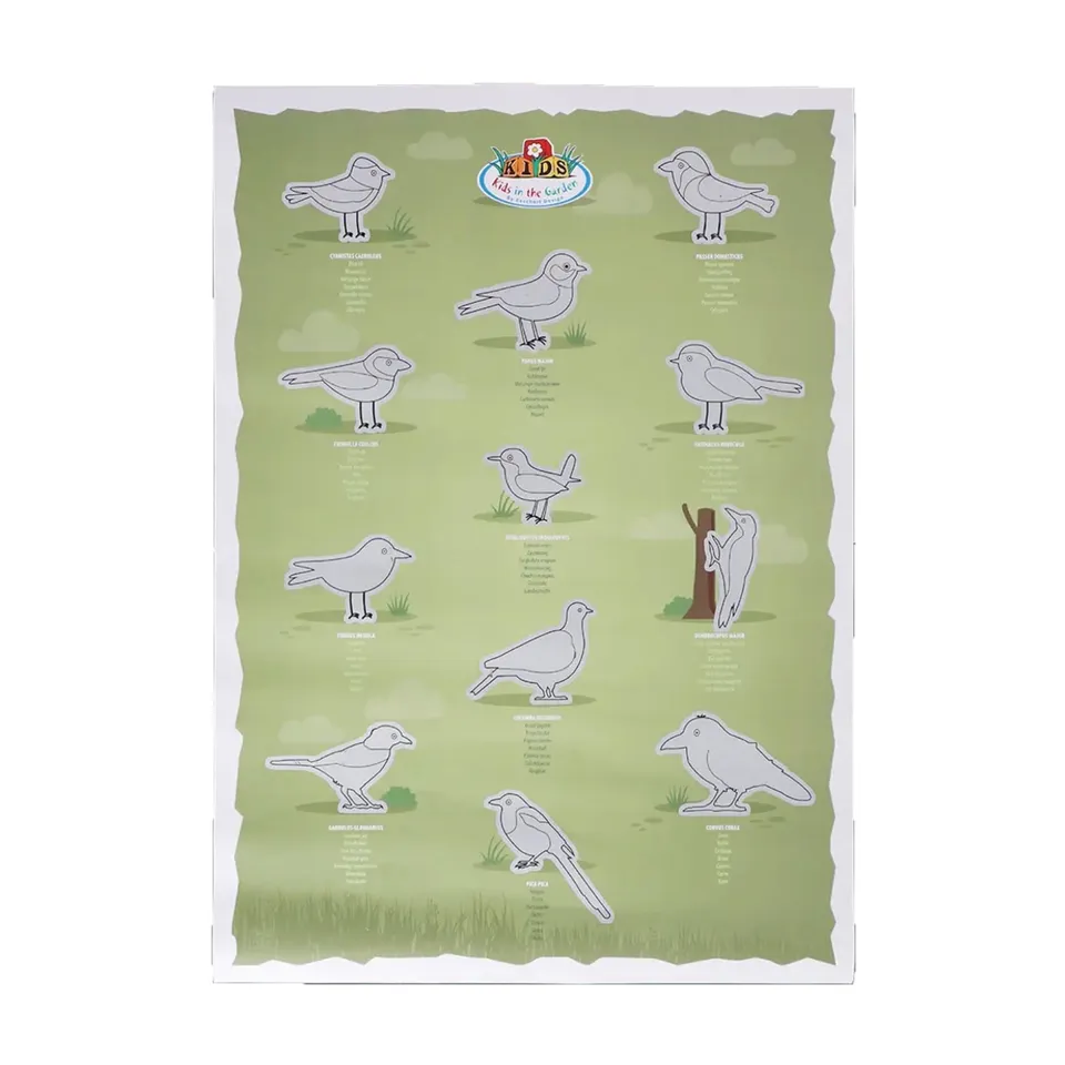 esschert-design-poster-gratter-oiseaux-affiche-ducative-enfants image 1
