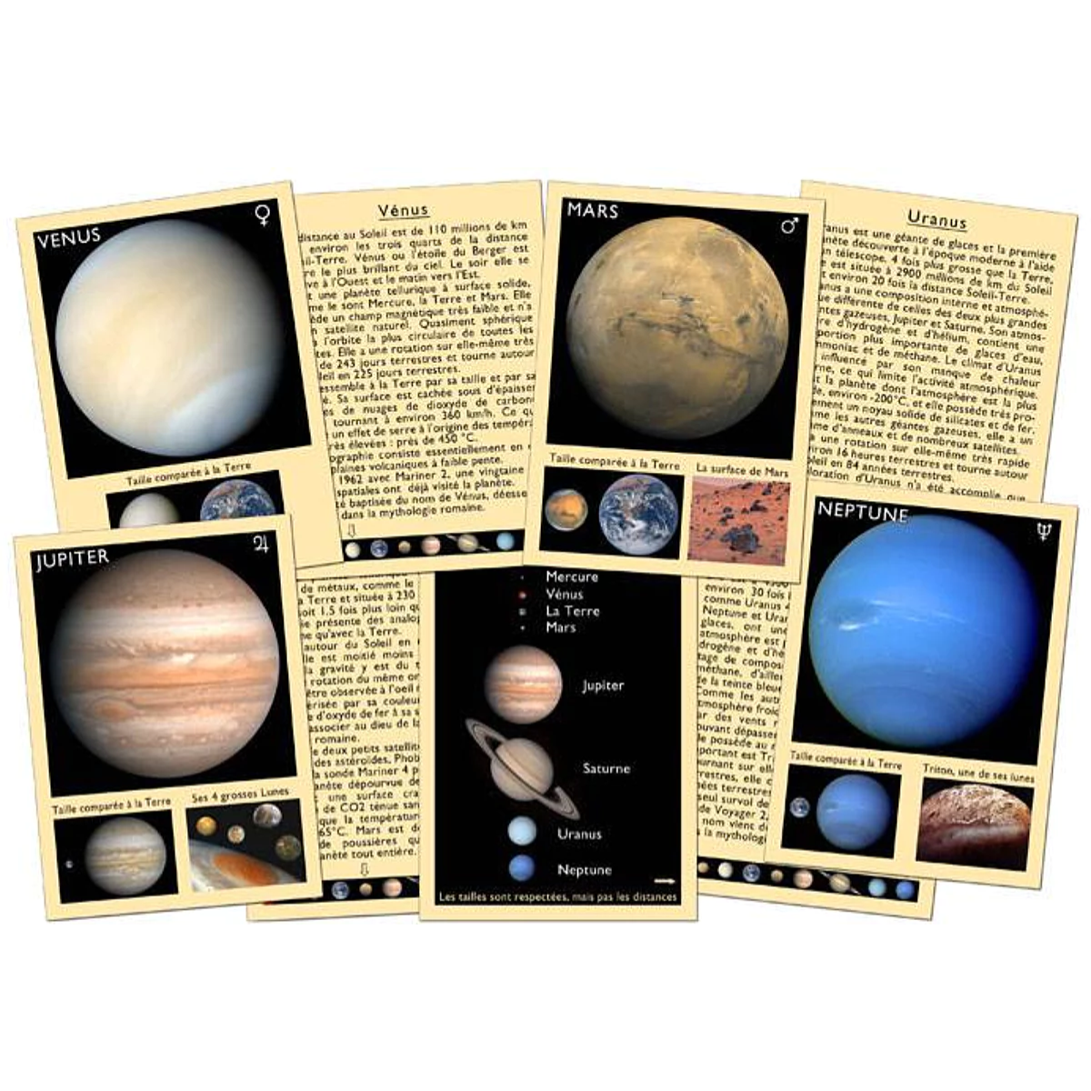 mes-courses-en-vrac-jeu-cartes-connais-tu-les-plan-tes-6-ans image 2