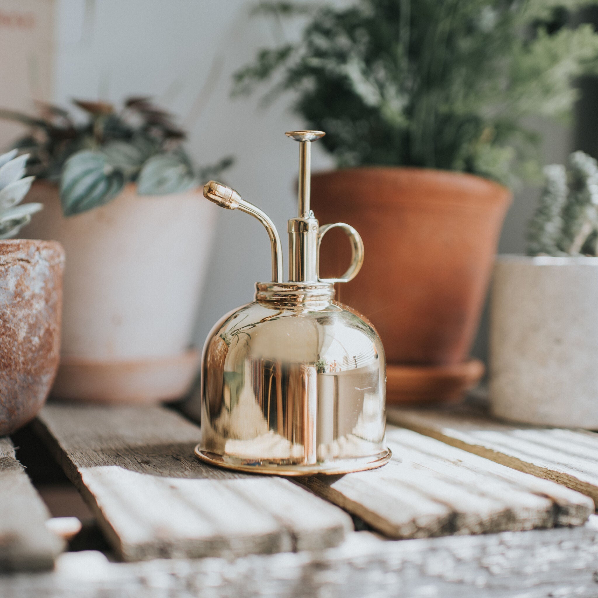 haws-fazeley-flow-set-arrosoir-brumisateur-vert-2-pintes image 4