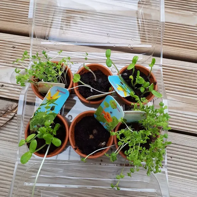 mes-courses-en-vrac-kits-planter-mon-premier-potager-bio-serre-enfant image 1