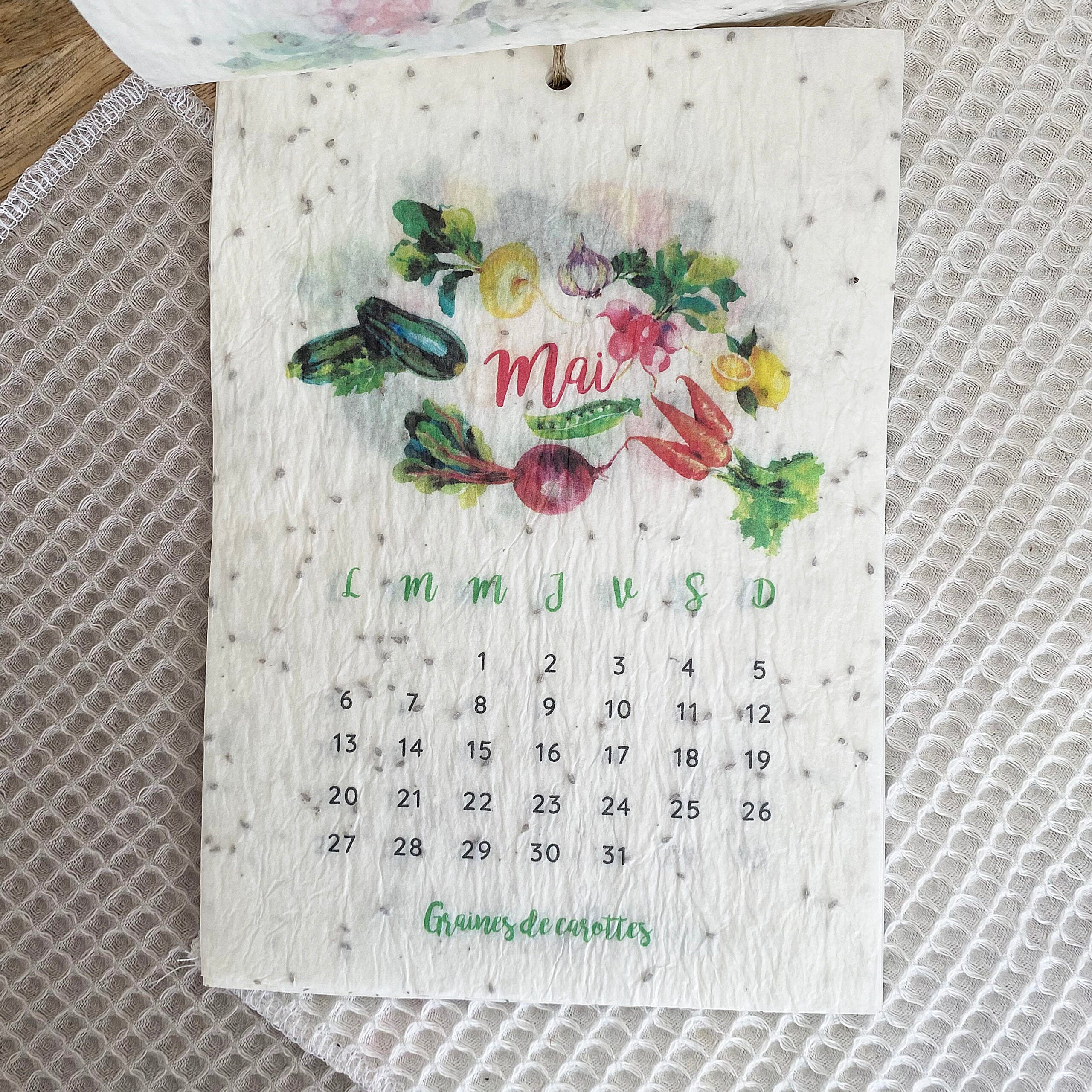 mes-courses-en-vrac-calendrier-ensemenc-l-gumes-a5-13-graines image 2