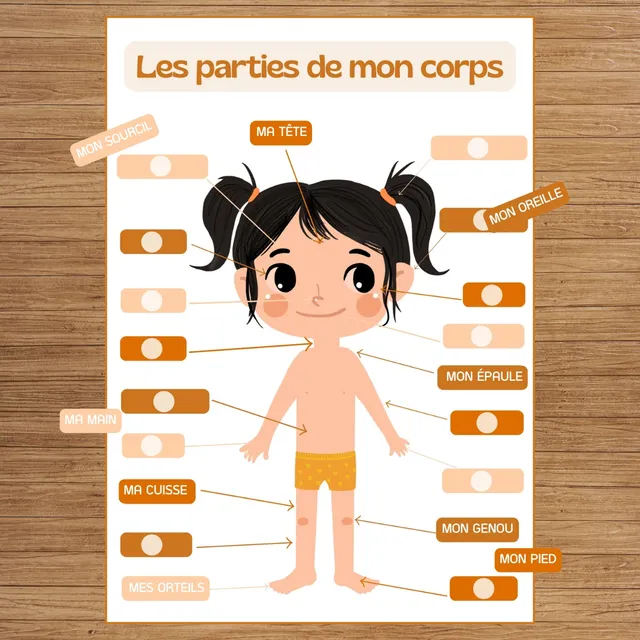 mes-courses-en-vrac-routines-j-apprends-corps-fille-tableau-ducatif image 1