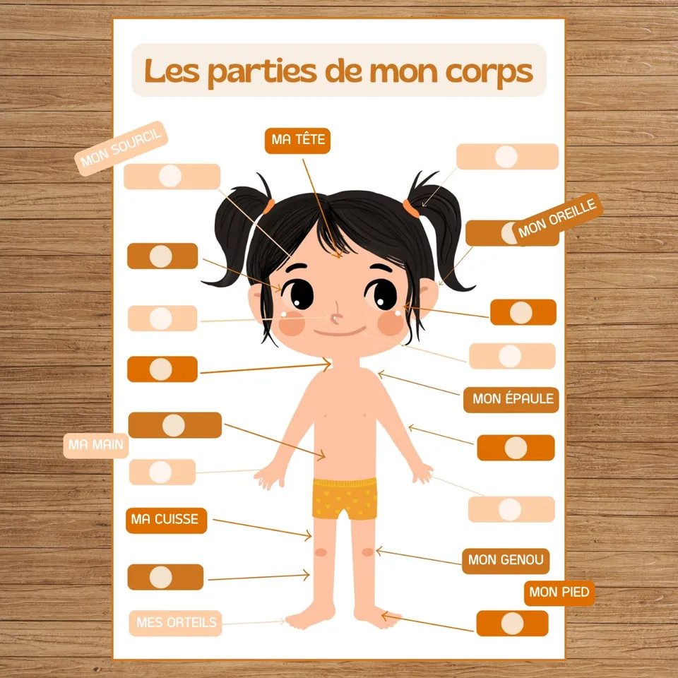 mes-courses-en-vrac-routines-j-apprends-corps-fille-tableau-ducatif image 1