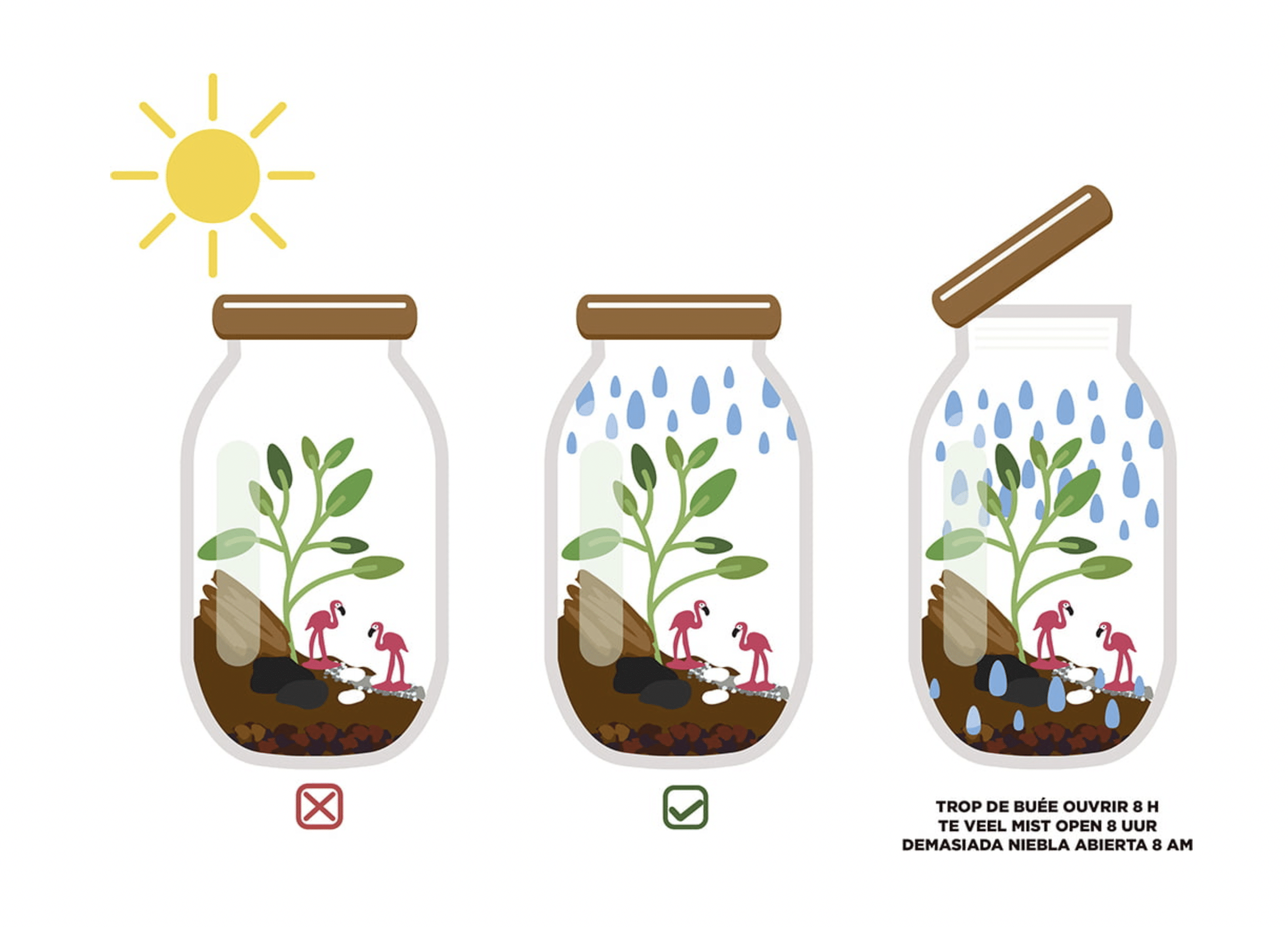 radis-et-capucine-terrarium-faire-soi-m-me-bocal-verre image 3