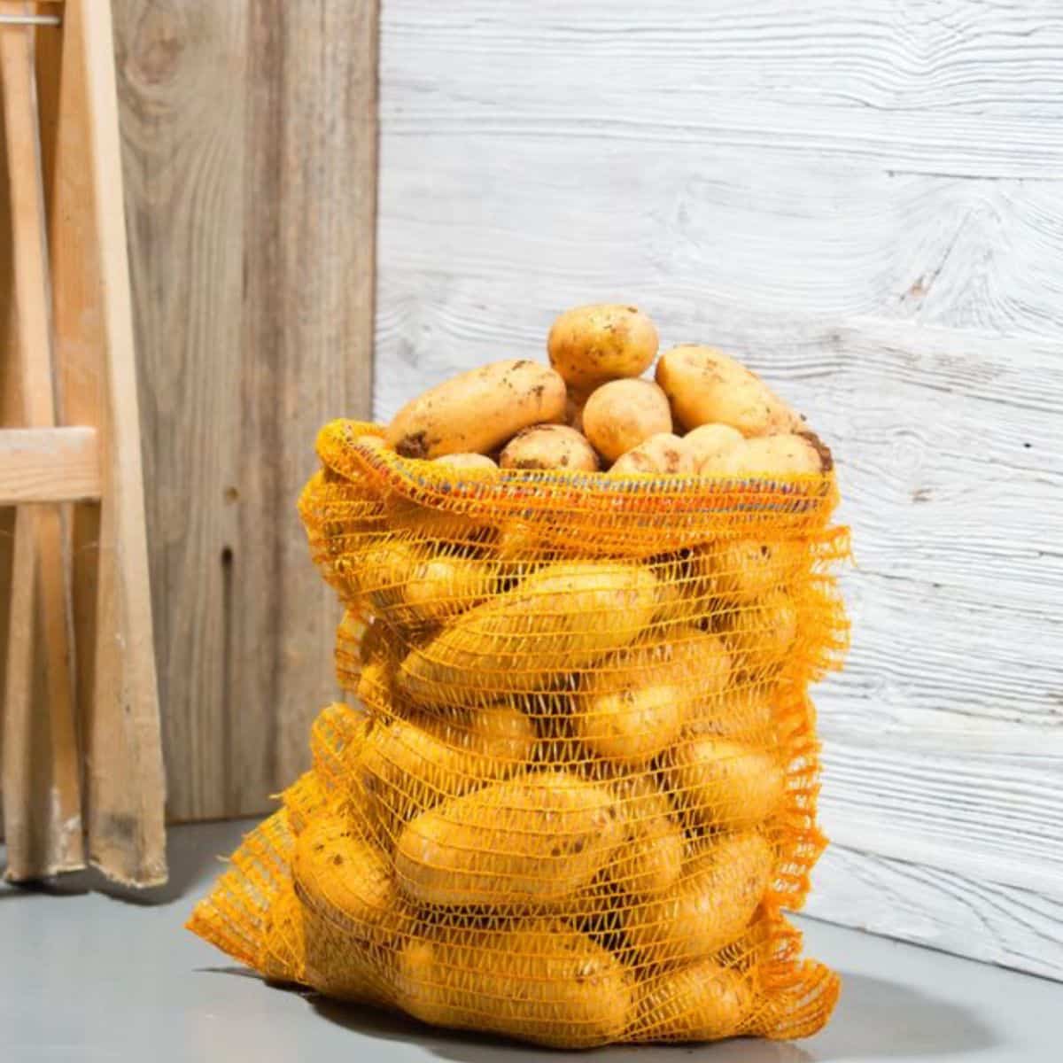 sac-pommes-de-terre-sac-vrac-5-kg-r-utilisable image 1