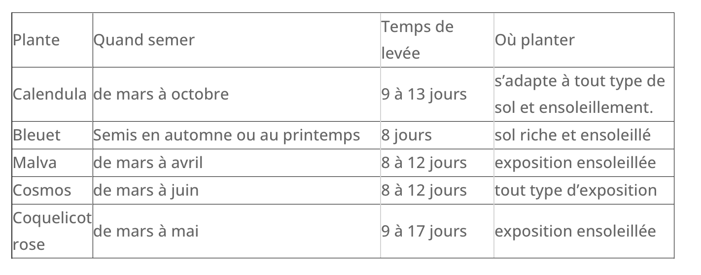 mes-courses-en-vrac-fleurs-comestibles-bio-coffret-semis-5-graines image 5