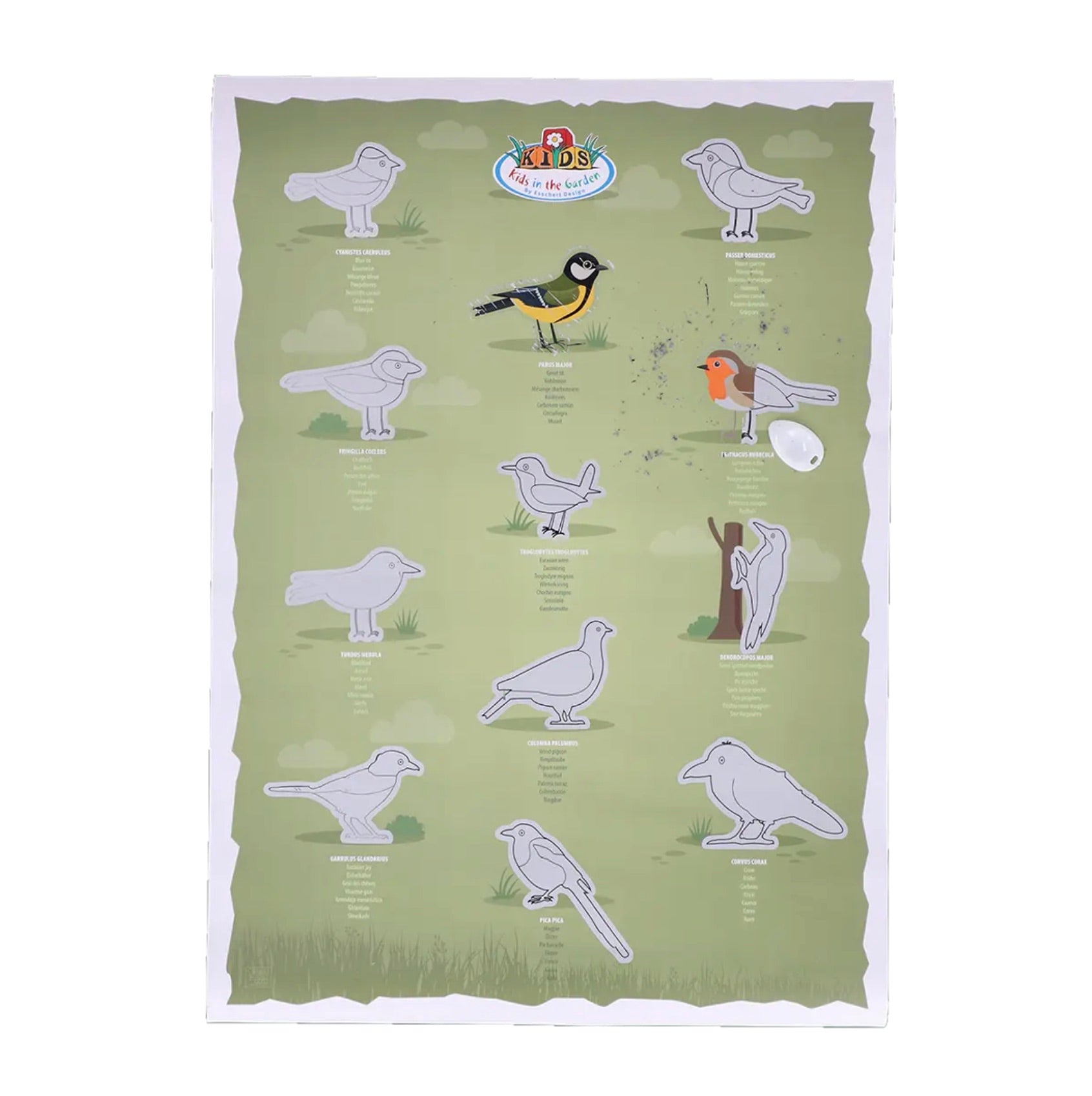 esschert-design-poster-gratter-oiseaux-affiche-ducative-enfants image 2