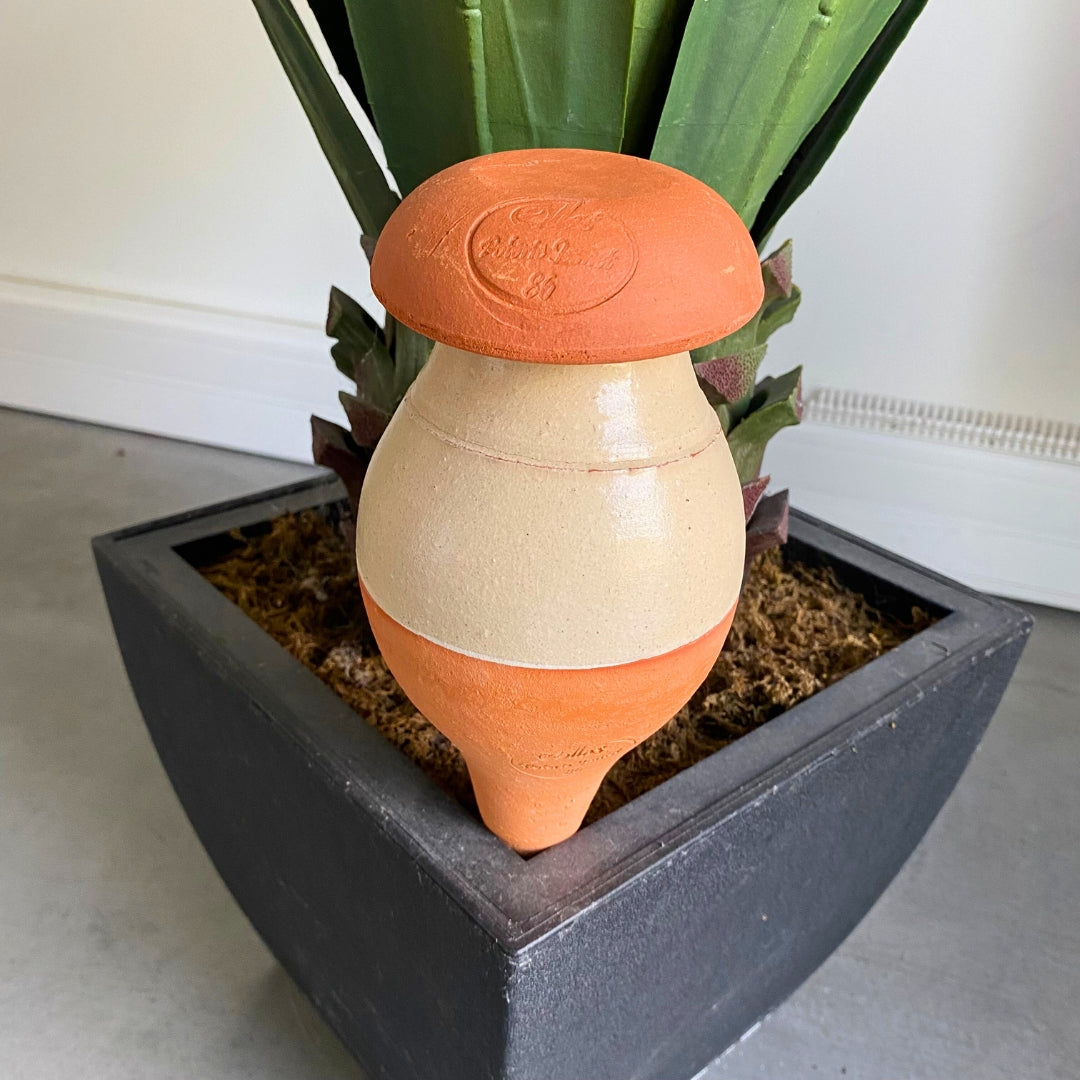 ollas-planter-0-5-l-cr-me-maill-e-arrosage image 4