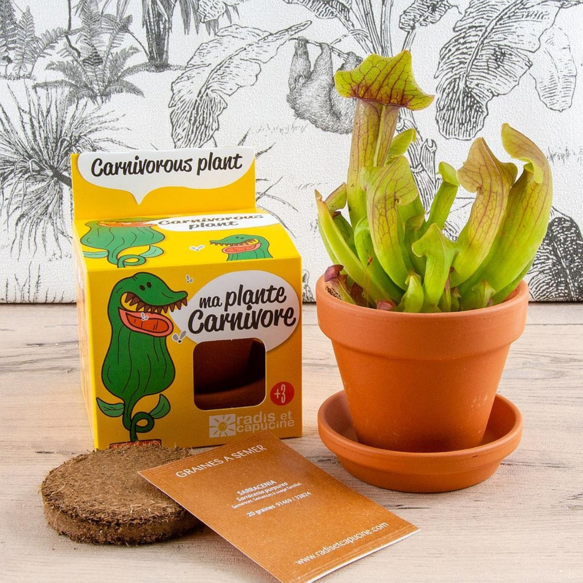 mes-courses-en-vrac-kit-plante-carnivore-pot-terre-cuite image 2