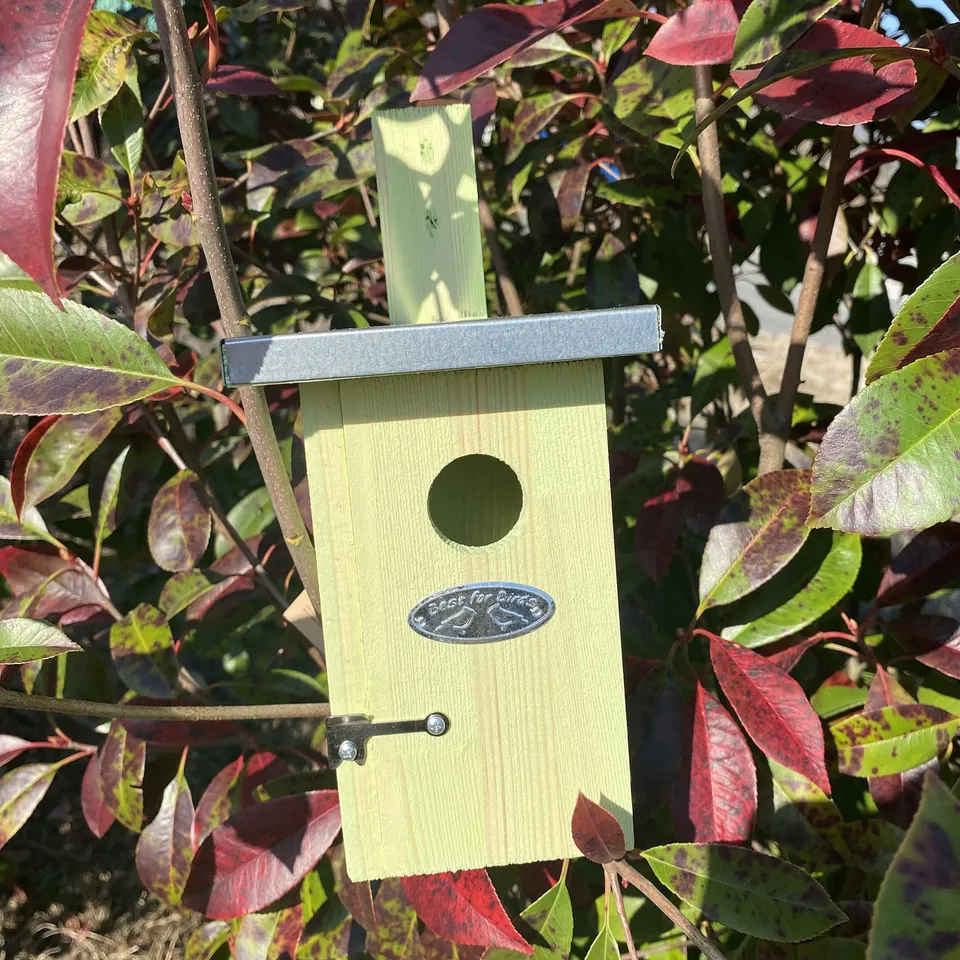 esschert-design-nichoir-roitelet-cabane-oiseaux-bois-30-mm image 1