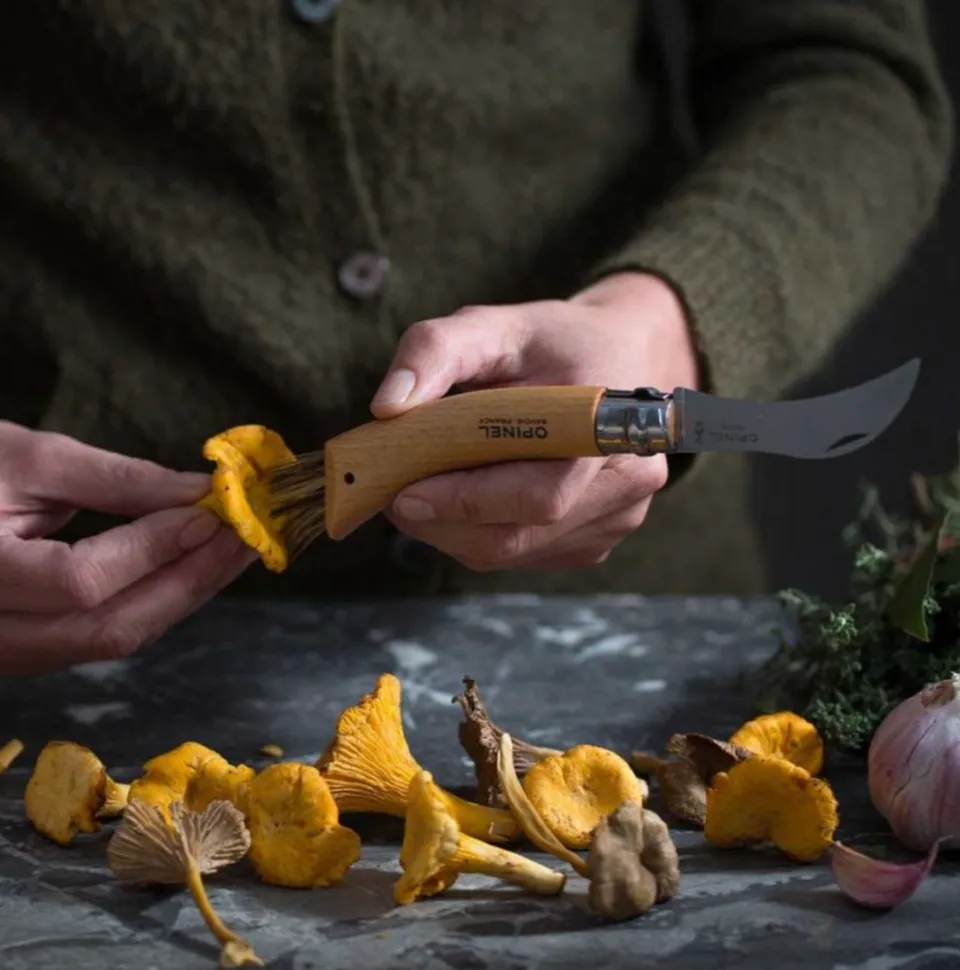 opinel-couteau-champignon-n-8-lame-brosse-cueillette image 1