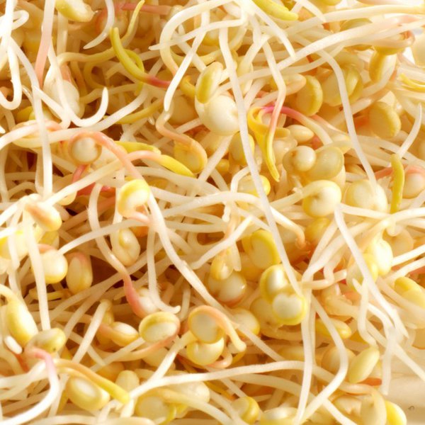 mes-courses-en-vrac-germination-quinoa-bio-graines-germer-200g image 2