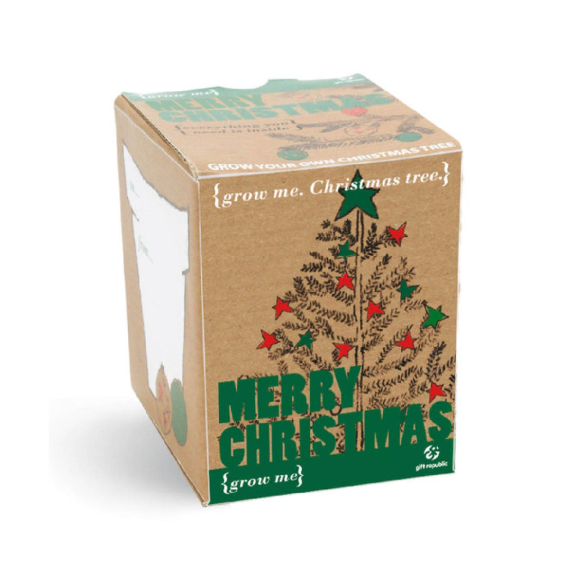 mes-courses-en-vrac-petit-kit-sapin-de-no-l-faire-pousser-graine image 1