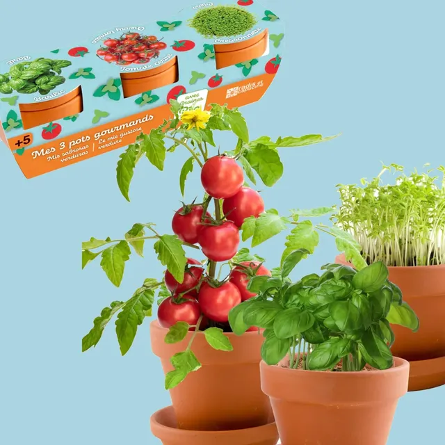 coffret-trio-pots-gourmands-kit-planter-bio-3-pots image 1
