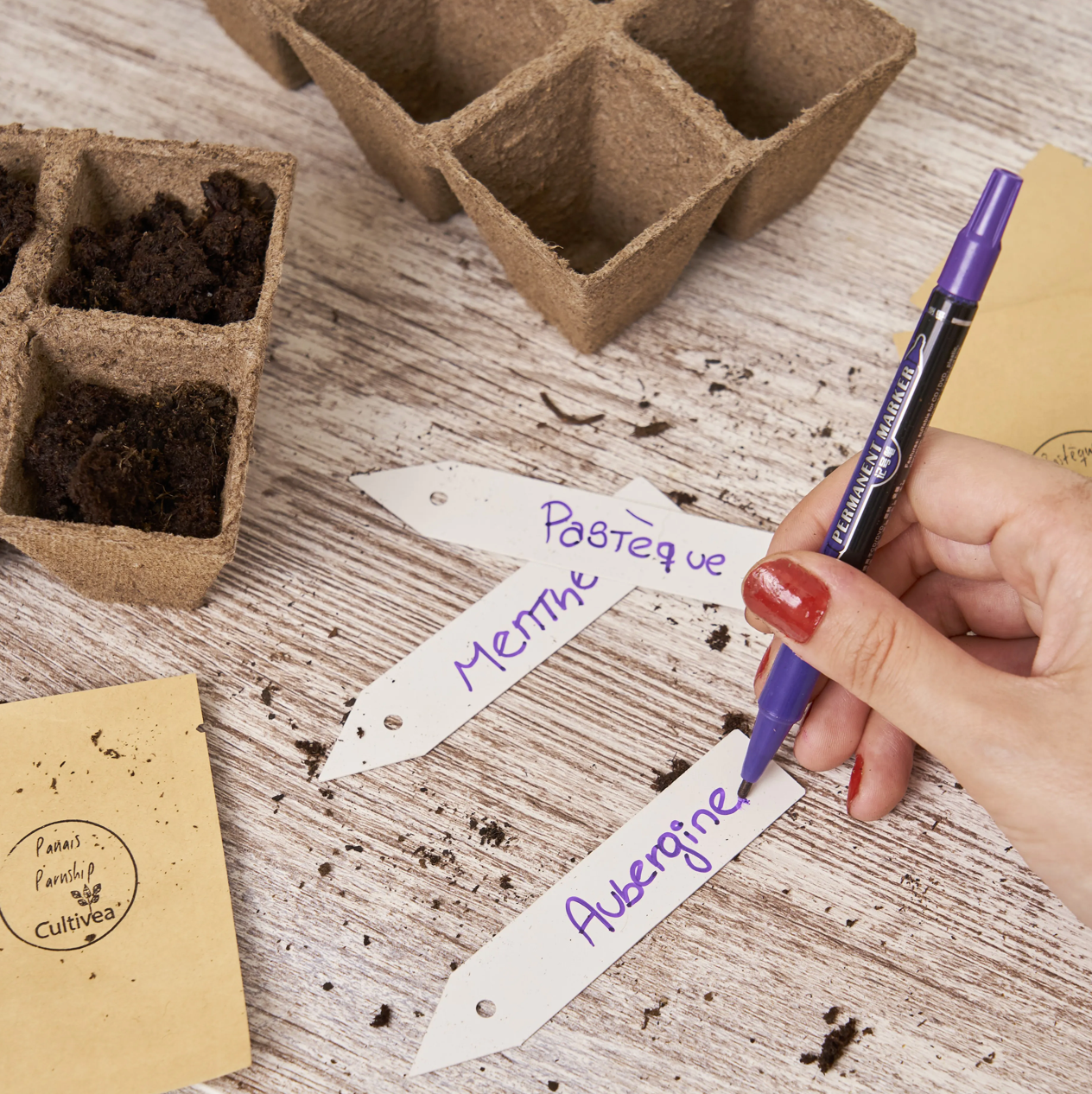 cultivea-le-petit-potager-saveurs-ensoleill-es-kit-semis-bio image 6