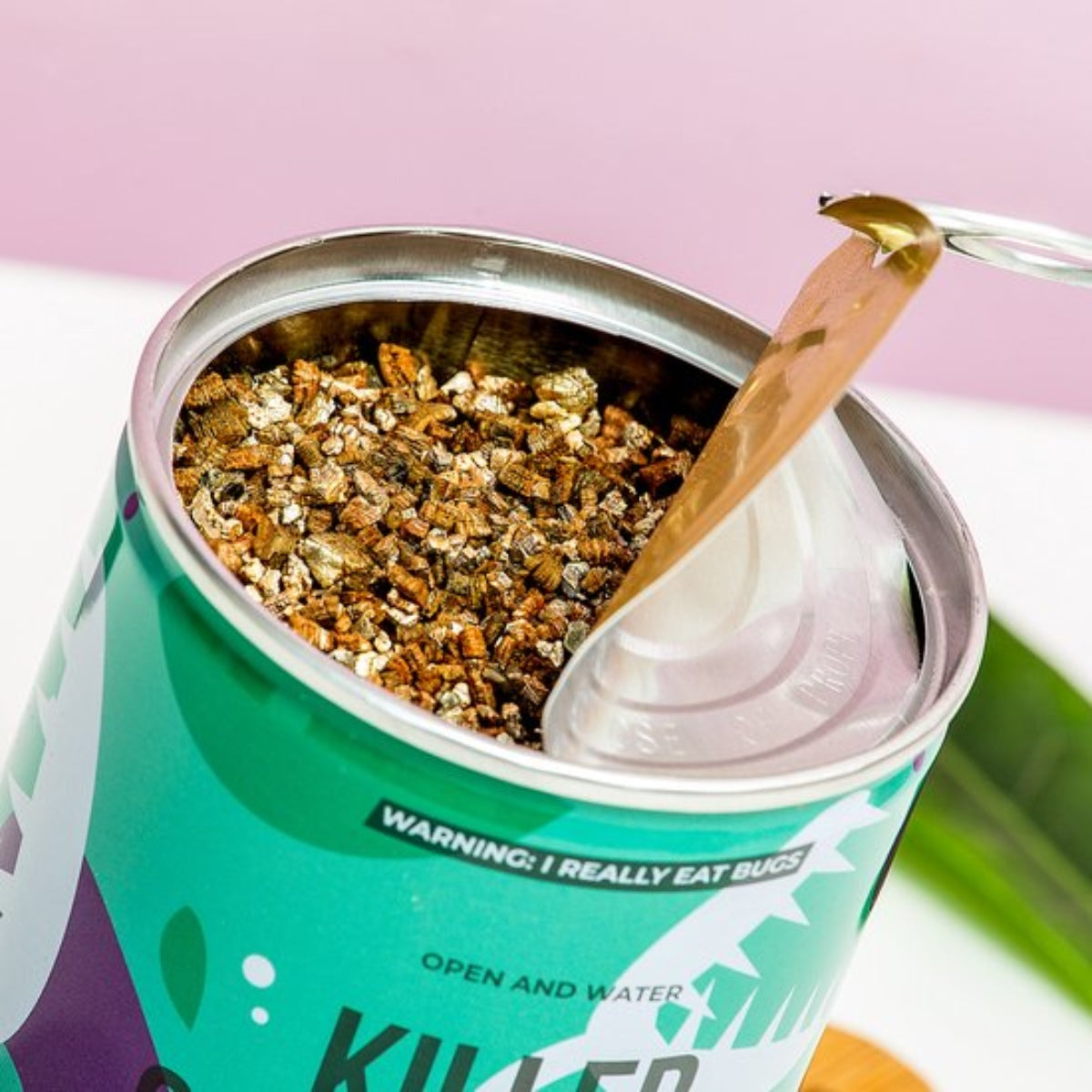 kit-plante-carnivore-faire-pousser-int-rieur-cadeau image 2
