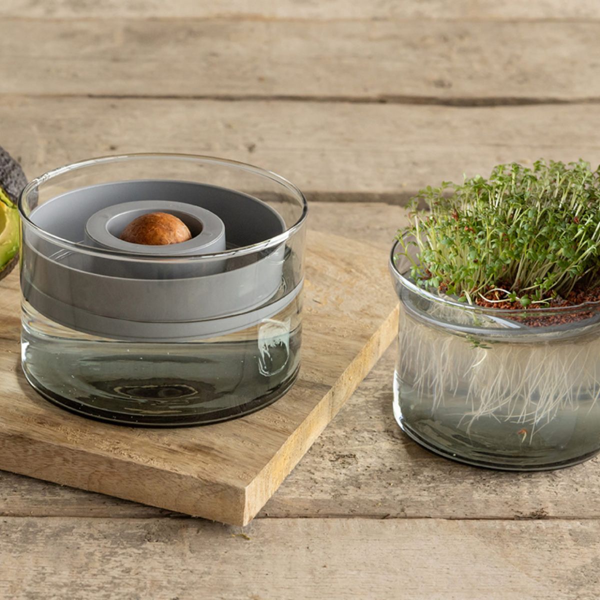 esschert-design-kit-germination-verre-recycl-12-cm image 1