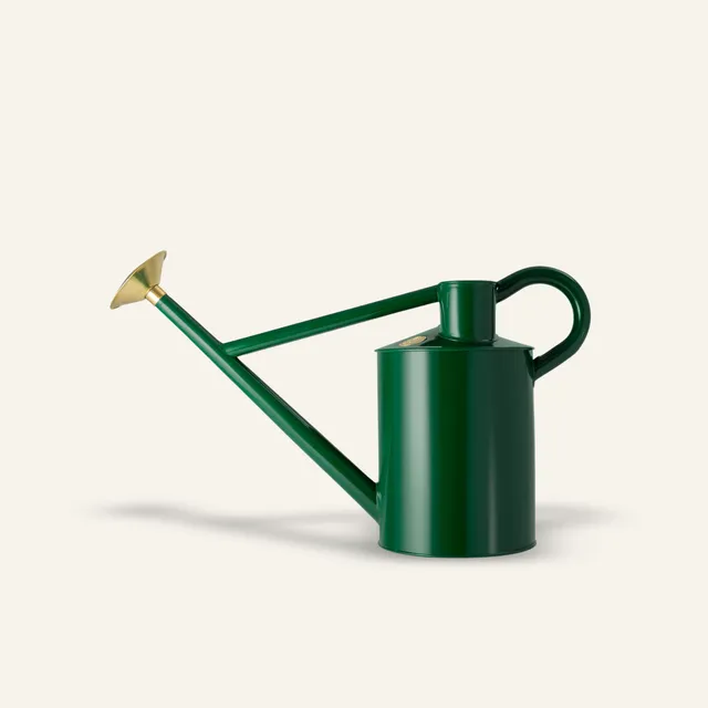 haws-bearwood-brook-arrosoir-vert-2-gallons-acier-galvanis image 1