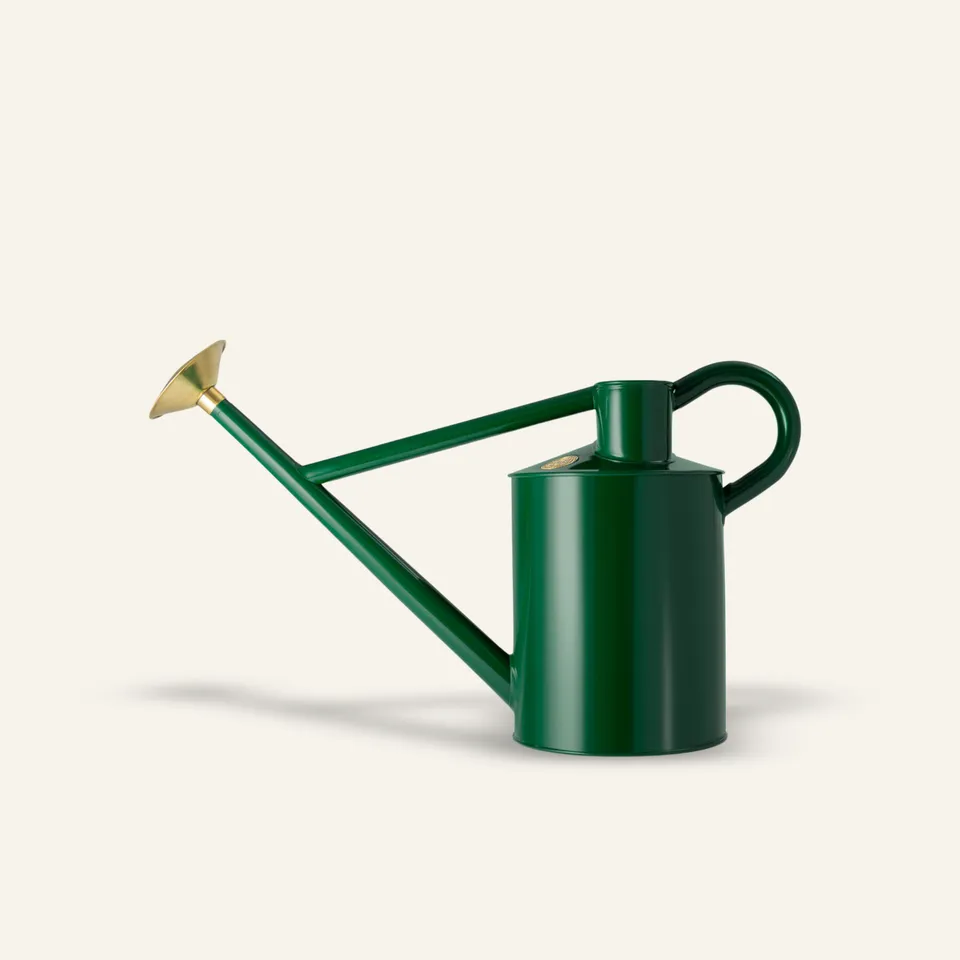 haws-bearwood-brook-arrosoir-vert-2-gallons-acier-galvanis image 1