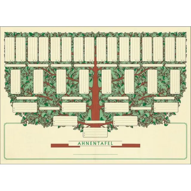 arbre-g-n-alogique-coffret-papier-a3-5-g-n-rations image 1