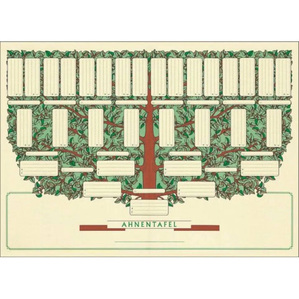 arbre-g-n-alogique-coffret-papier-a3-5-g-n-rations image 1