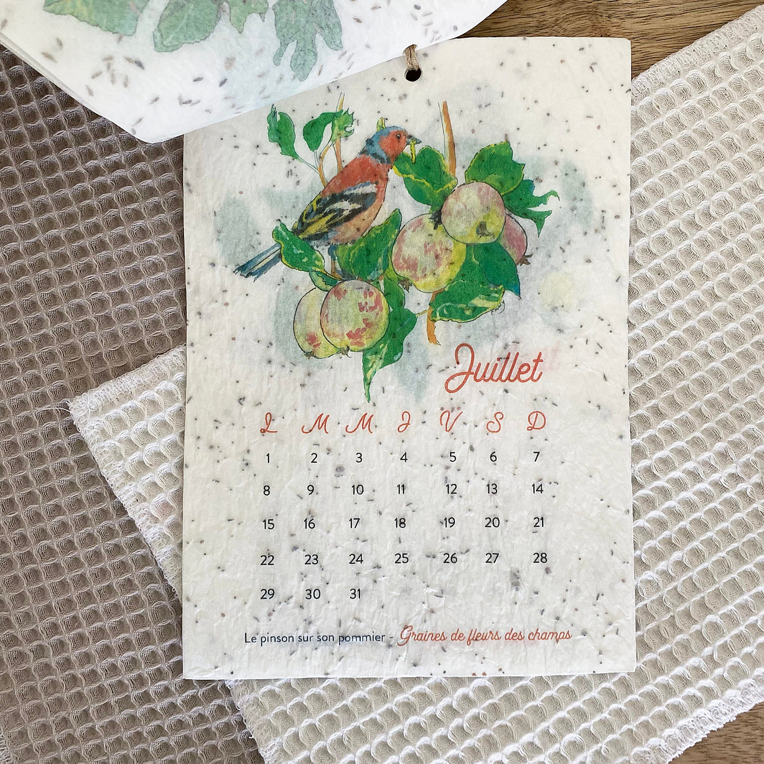 mes-courses-en-vrac-calendrier-ensemenc-2024-jardin-a6-planter image 3